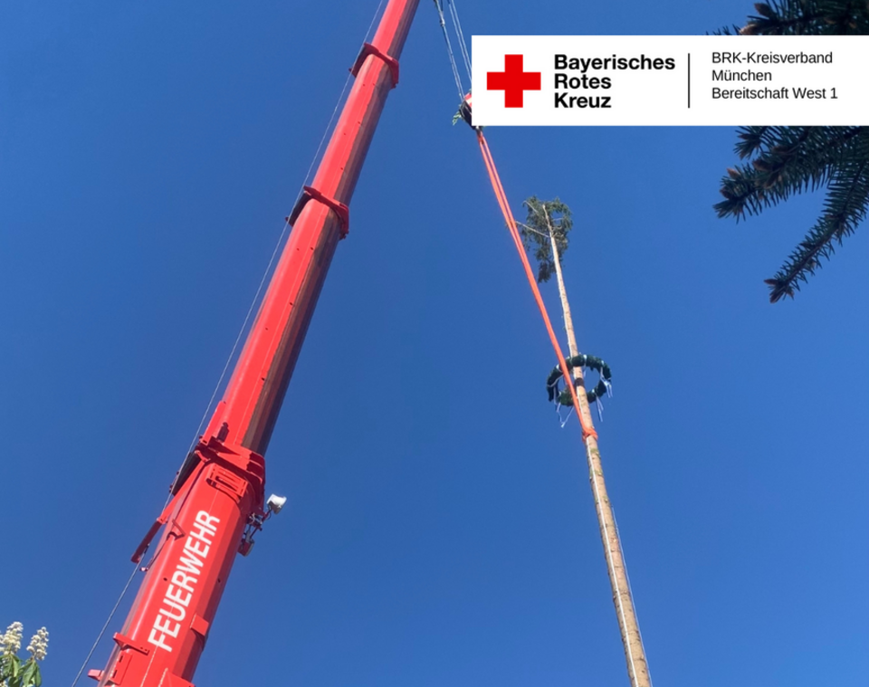 Kran stellt den Moosacher Maibaum auf.